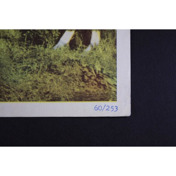 1960 Sword and the Dragon 11x14" ORIGINAL Lobby Card Joseph Harris Vitamotion - Picture 4 of 9